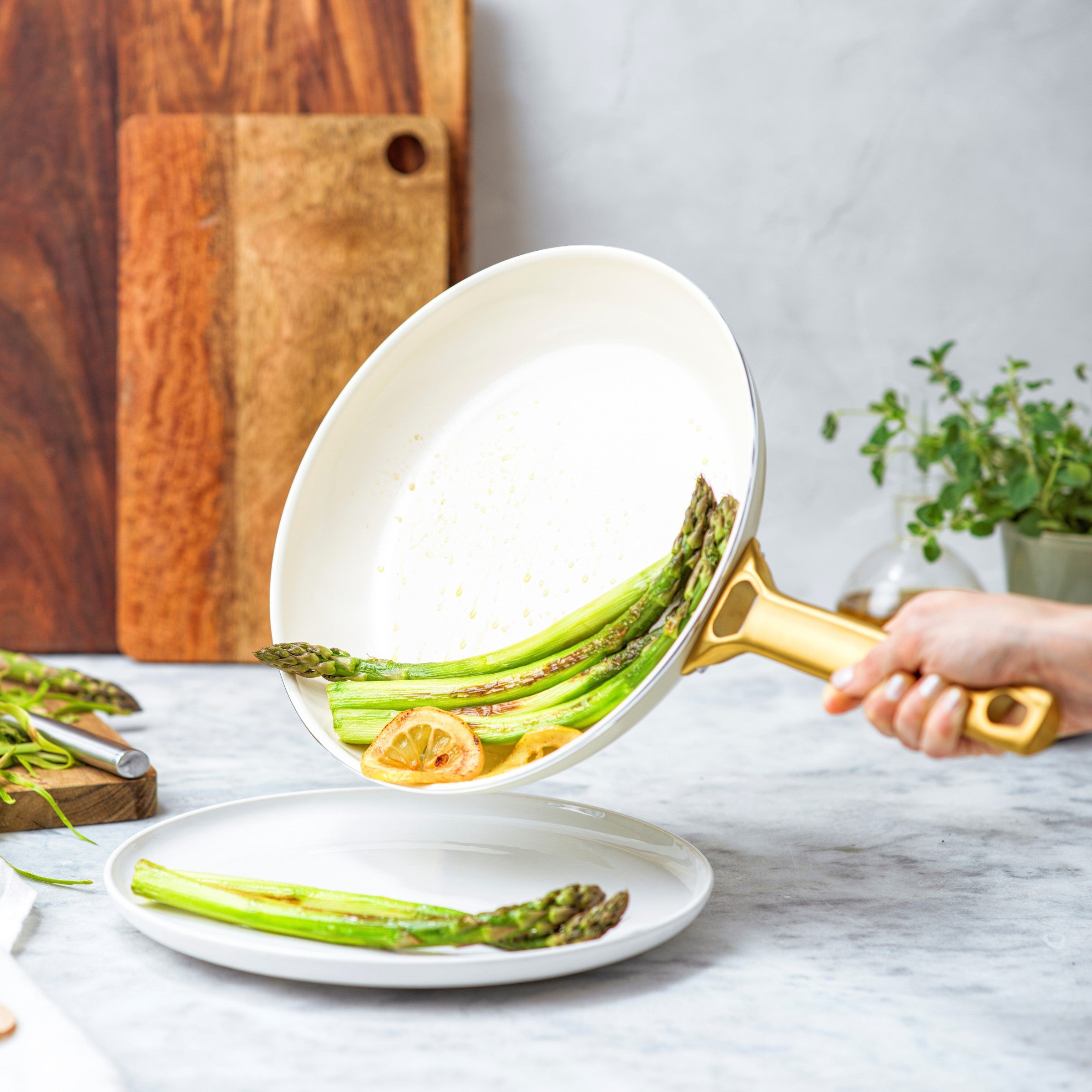 Padova Cream 11-delige set